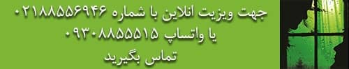 دکتر پرویز علی‌وردی